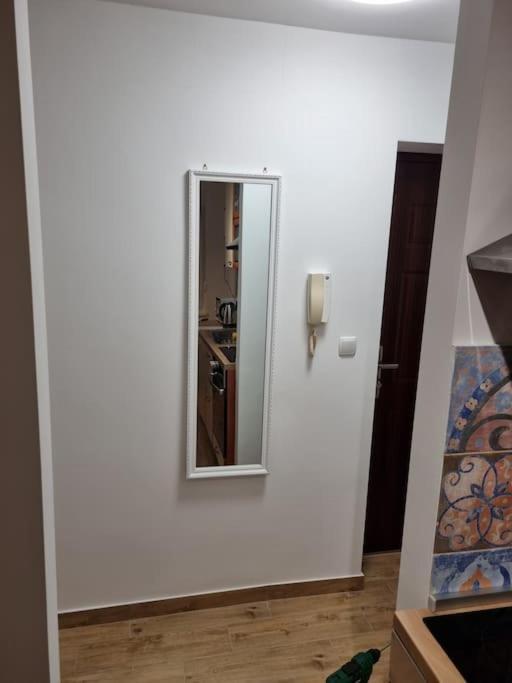 Studio Apartman Bojana 34M2,Free Wifi,Parking Sisak Exterior foto