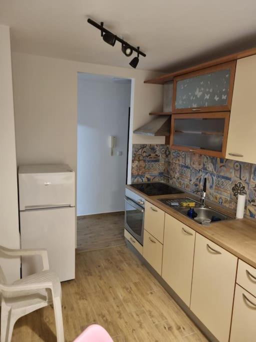Studio Apartman Bojana 34M2,Free Wifi,Parking Sisak Exterior foto