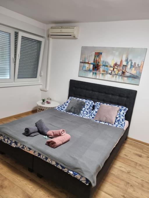 Studio Apartman Bojana 34M2,Free Wifi,Parking Sisak Exterior foto