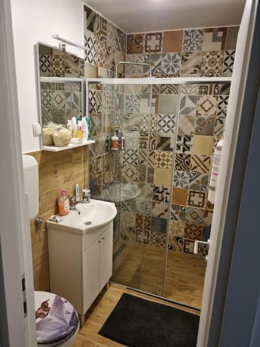 Studio Apartman Bojana 34M2,Free Wifi,Parking Sisak Exterior foto