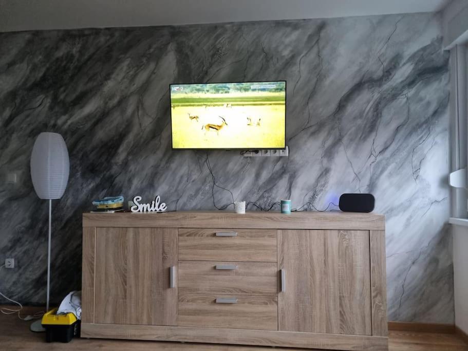 Studio Apartman Bojana 34M2,Free Wifi,Parking Sisak Exterior foto